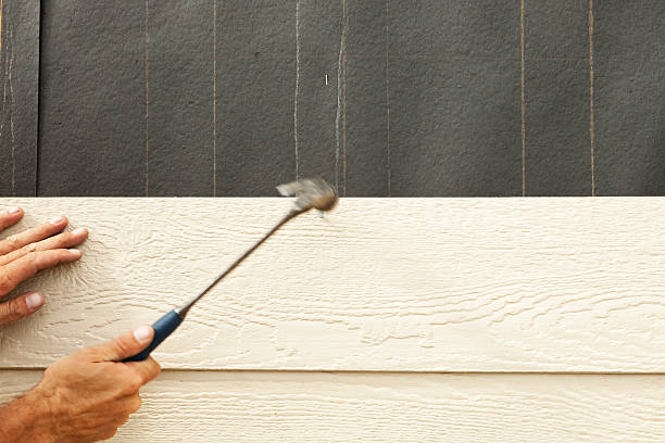Best Fiber Cement Siding Installation  in Granite City, IL