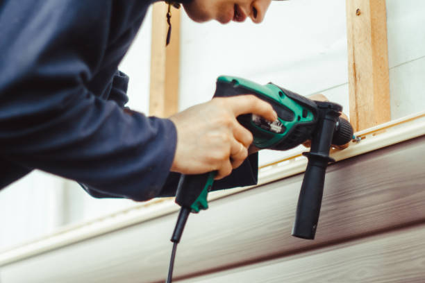 Best Steel Siding Installation  in Granite City, IL